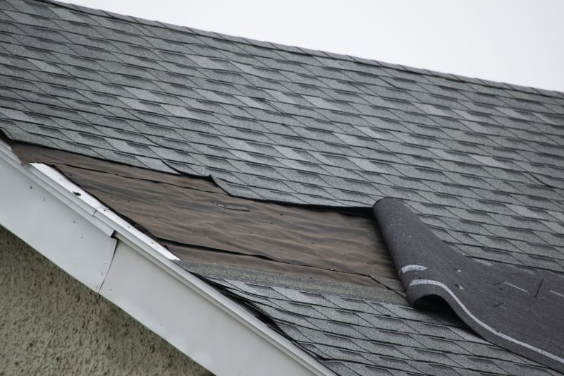 Repairing Damaged Shingles