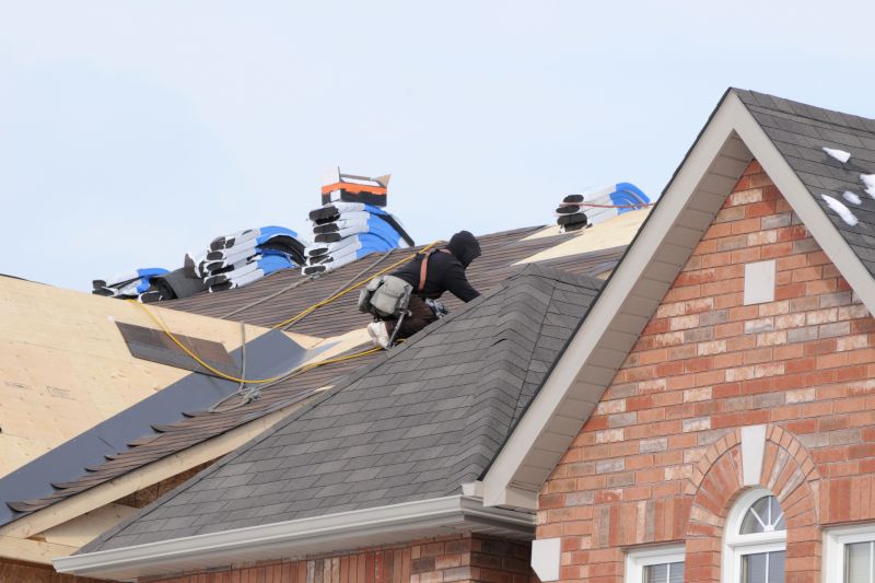 Roofing Service in Action