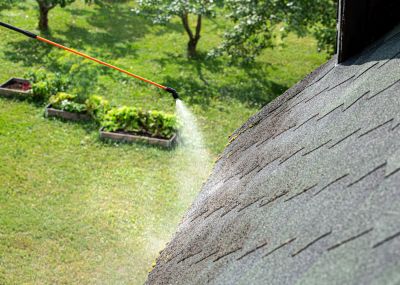 Roof Maintenance and Cleaning